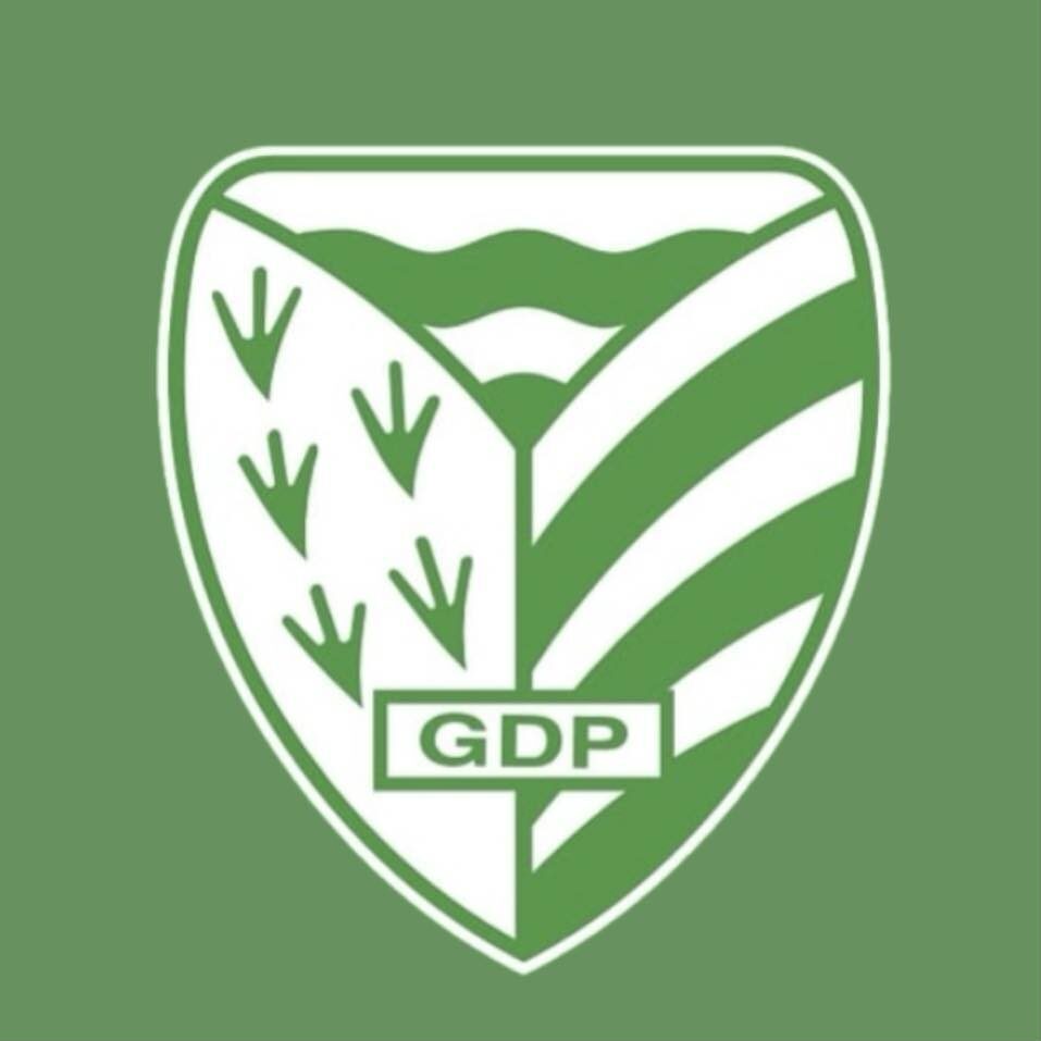 Clube de Futebol da Pelariga
